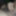 TransManAnalOnly GIFs