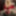 MERRY CHRISTMAS TO ALL MY FANS LOVE SHIRLEY