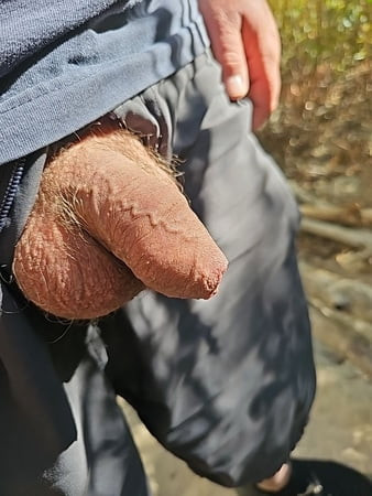 My uncut penis