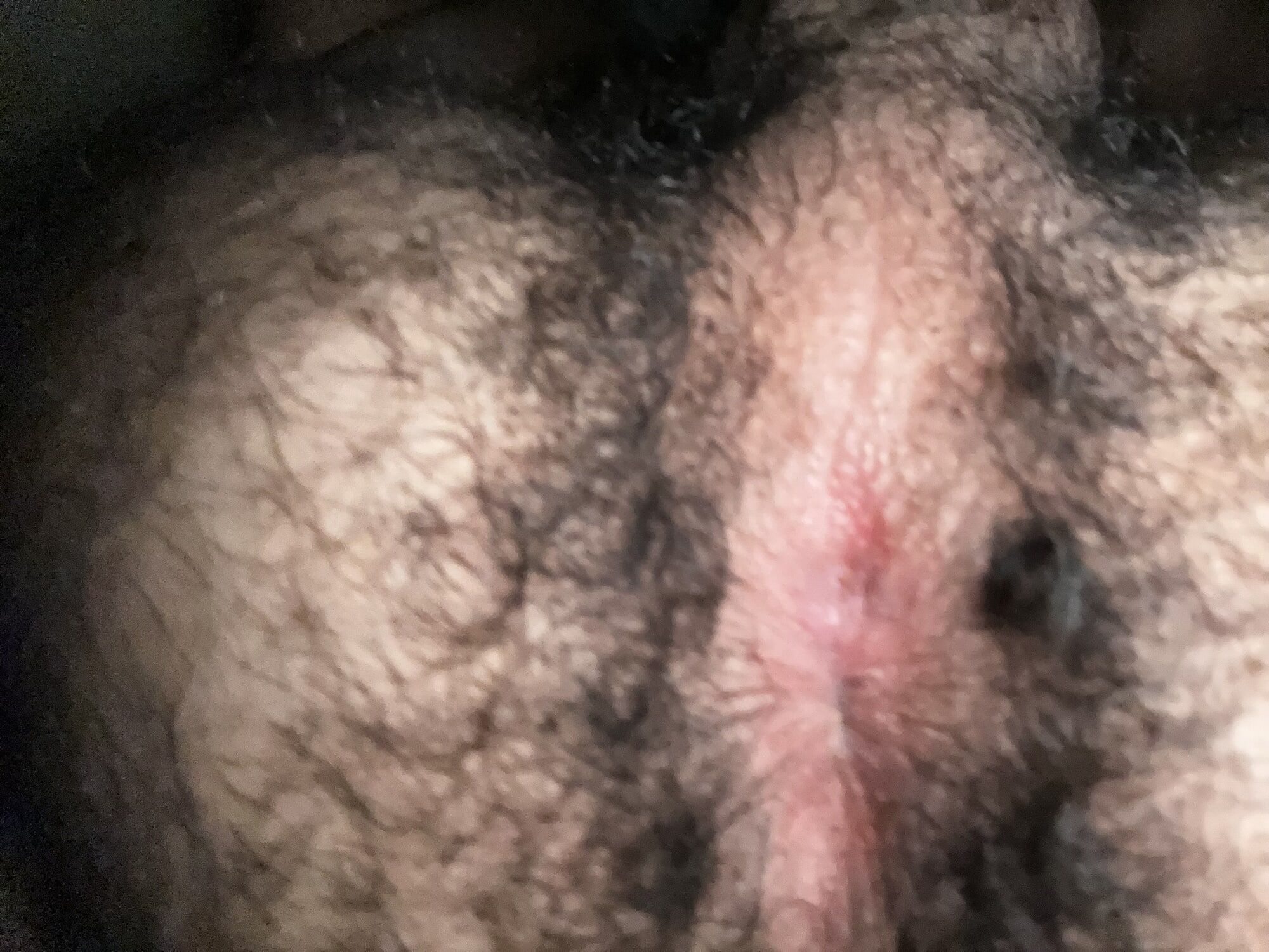 My Hairy Sexy Ass And Hole #3