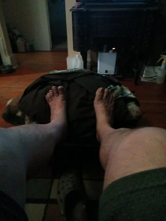 feet