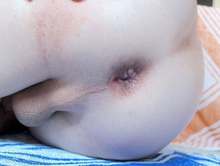 Closeup Cock and Anus