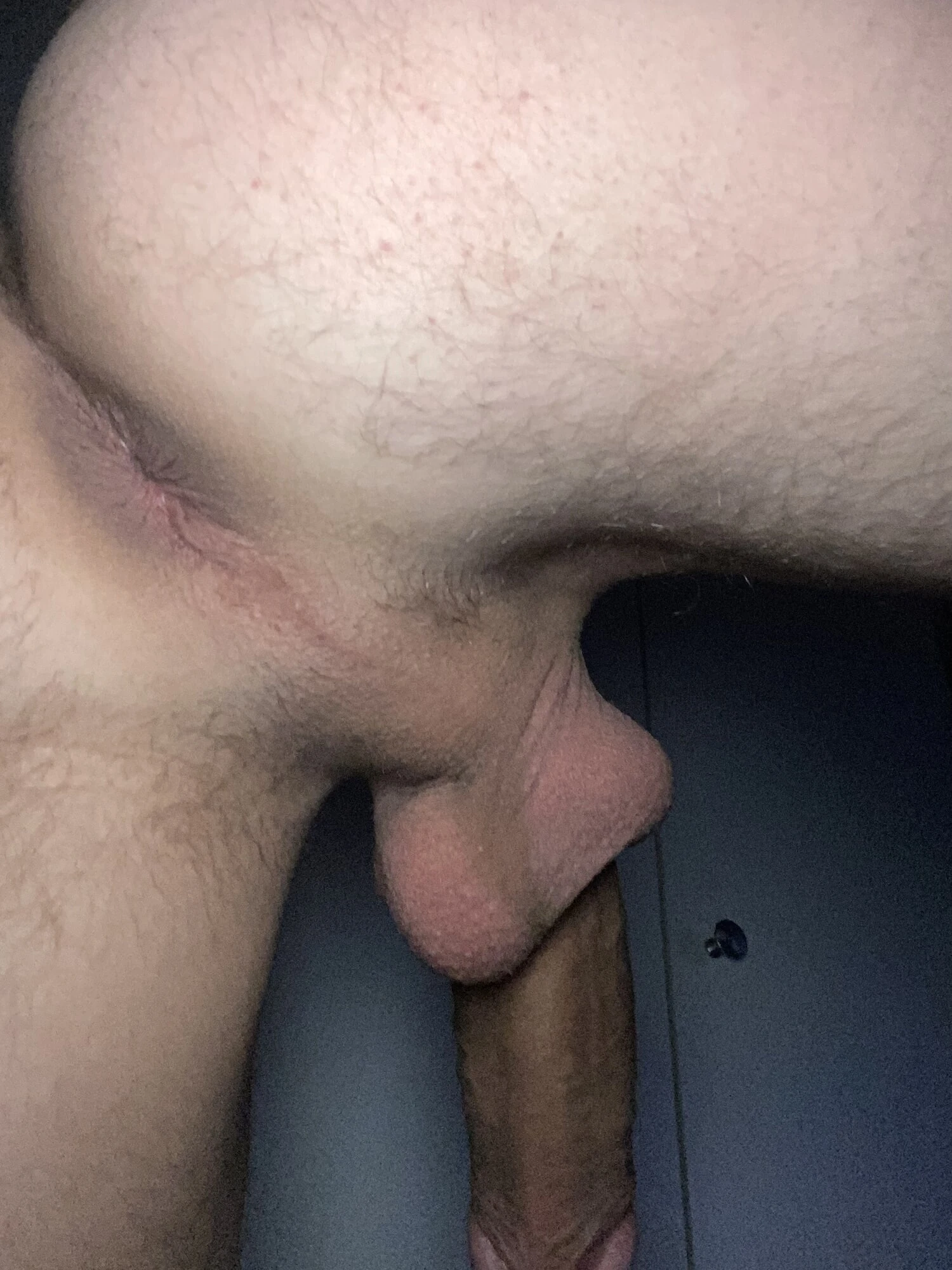 Ass  #44