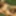 3d futanari hentai #31