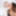 BRAZILTGIRLS.XXX: A Return That Will Make U All Very Excited