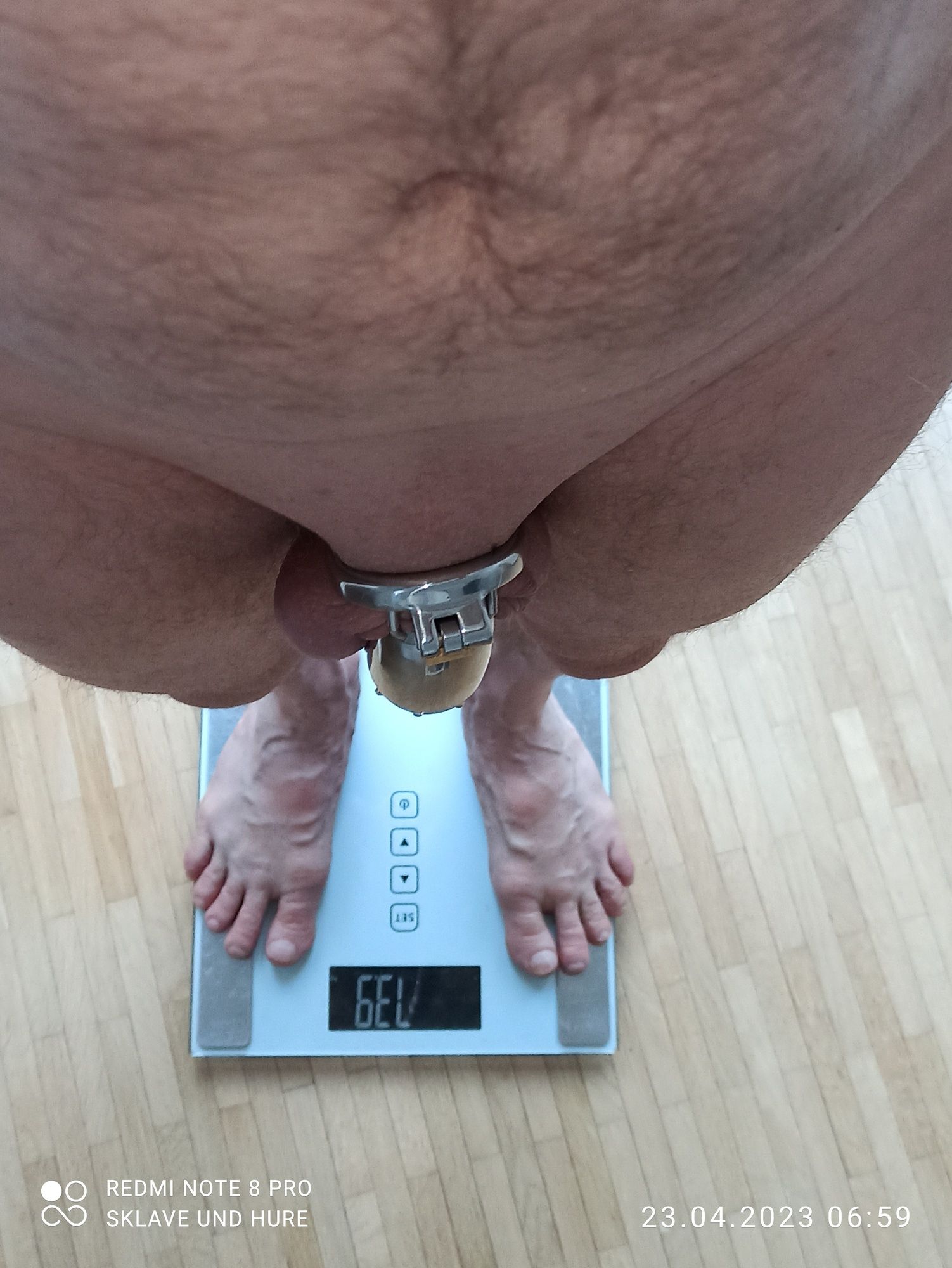 mandatory weighing and cagecheck of 23.04.2023 #4