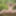 Fag Christoph Straubinger naked in the forest #9