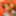 Brooke Taylor And Jordan Bliss Are Interracial Muff Munchers #37