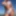 Ücretsiz Fortune_888 Fotoğrafları
