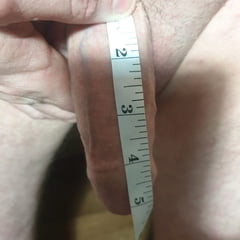Soft bit hairy