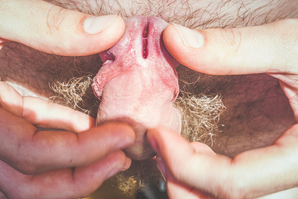 Cock Art and OG Dick Pics #42