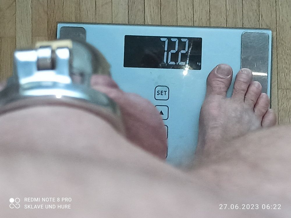 Weighing, cagecheck, plugcheck, June 27th, 2024 #23