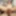 TGIRLSXXX: 2022 YEAR OG DREWCILLA