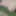 Slapping tits and ass in picnic hut