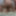 GIFs for Pro-Am scenes 201-205 #11