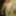 10 mil visualizacoes no meu perfil to gostando 