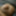 Tiny Dick, Micropenis  #5