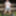 Asian schoolgirl does some hot outdoor teasing