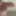 Just Me Gallery 1- Hotrod56565 #9