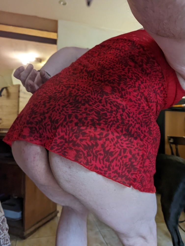 Chubby travesti bitch for big cock #2