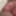 Cock