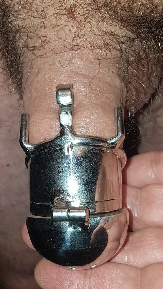 Chastity cage #54