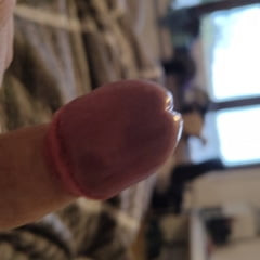 橡子