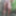 Tygra slut nude in the forest of the Robertsau. #36