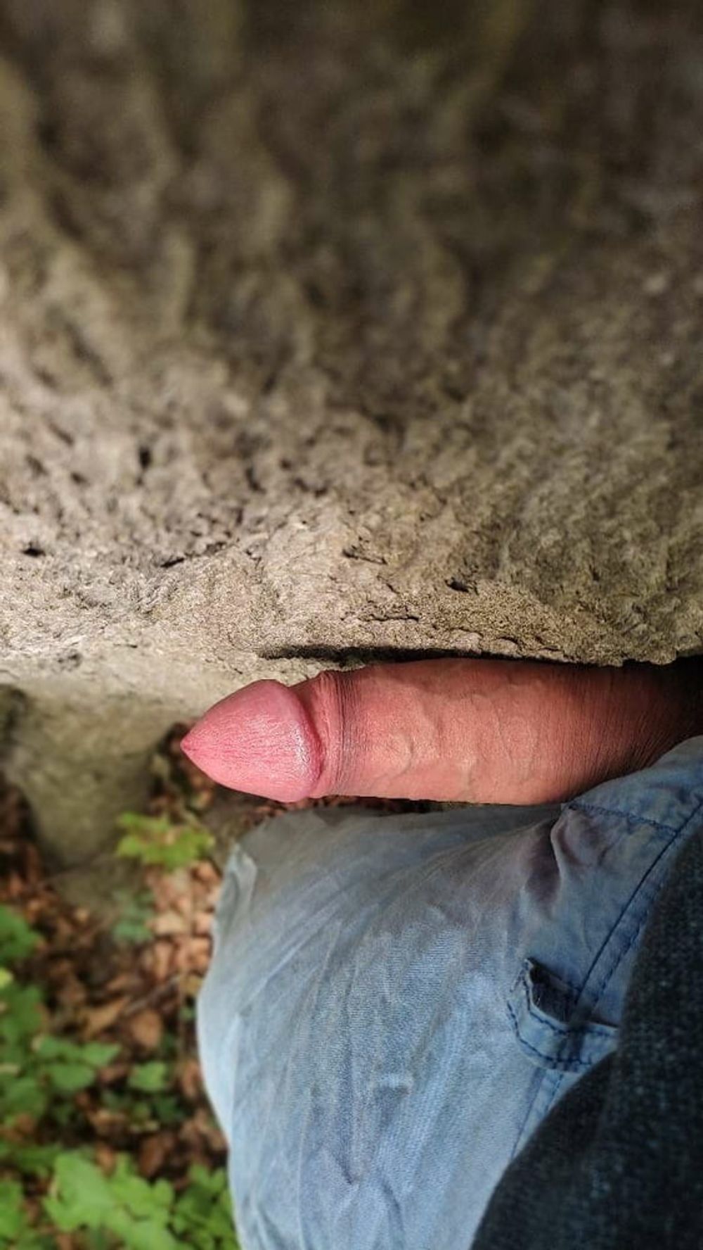 Kissing the tree with my dick #20