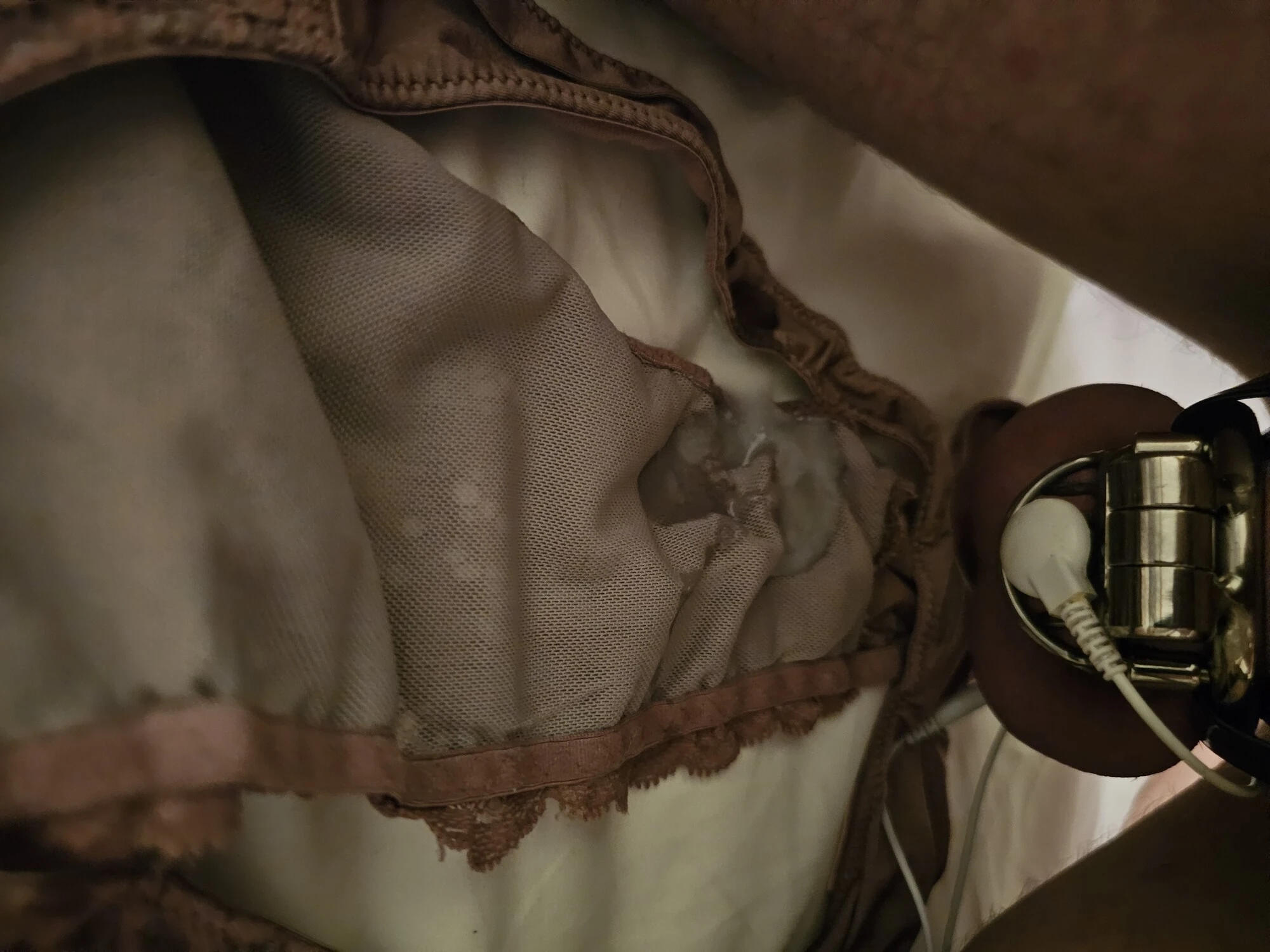 Chastity and anal Panties Harness #46