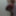 pio Free Photos