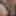 Clint Cumin- close up photos