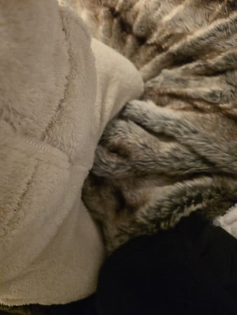 New Plush Fur Fleece