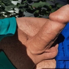 Cock 