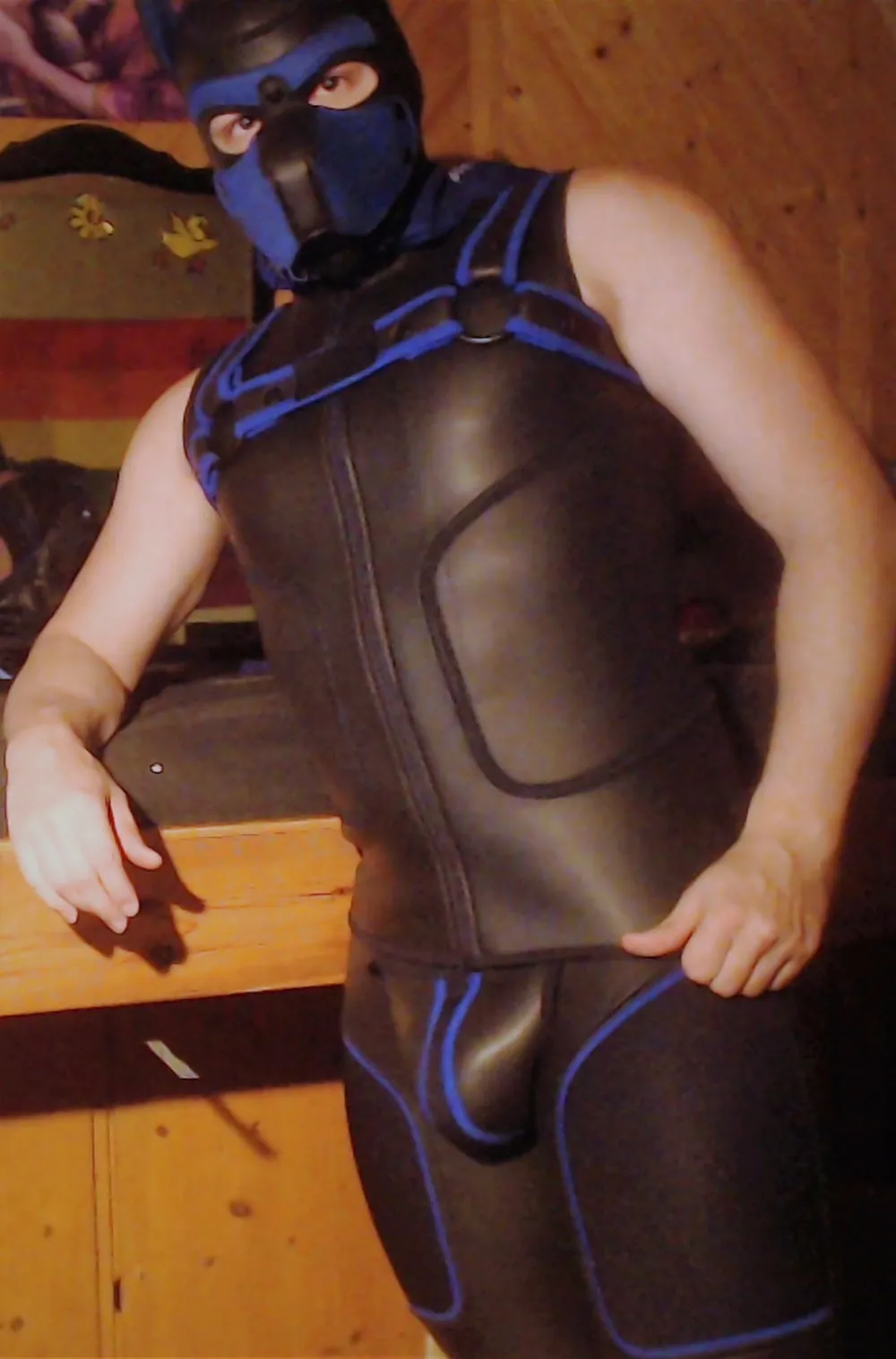 PetplayNeoprene #14