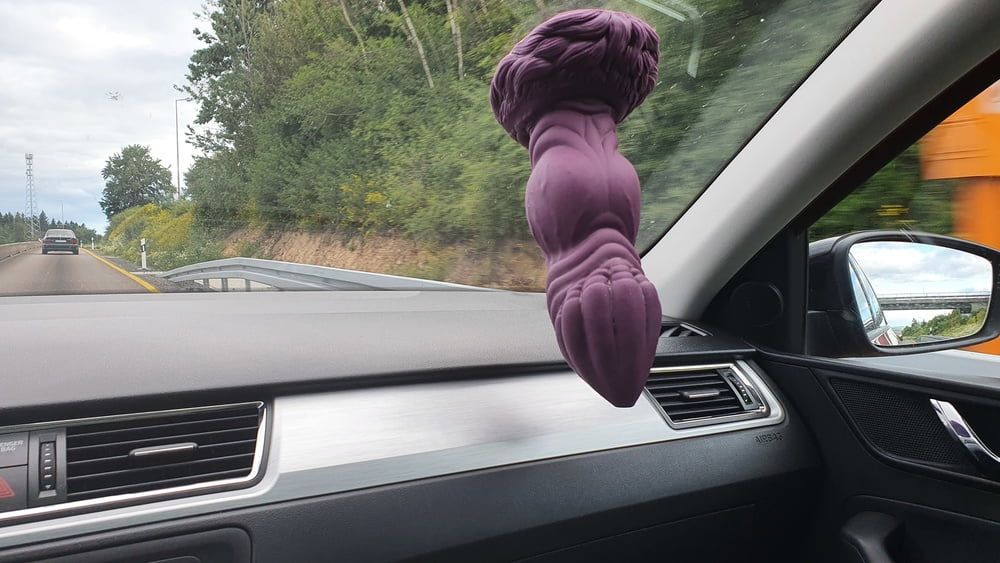 Roadtrip with Bad Dragon Apollo XL #7