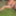 Will Polski Naked at Friend&#039;s Garden