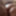 Sneakpeak 2