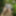 Wanking in the woods #19