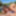 POV BJ by the Pool with Olivia Sparkle for HardcoreHoliday #10
