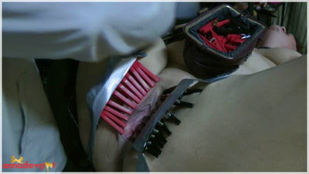 Annadevot - cunt clamped, ass fucked