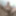 July 25, 2024 Daily duty of the naked slave