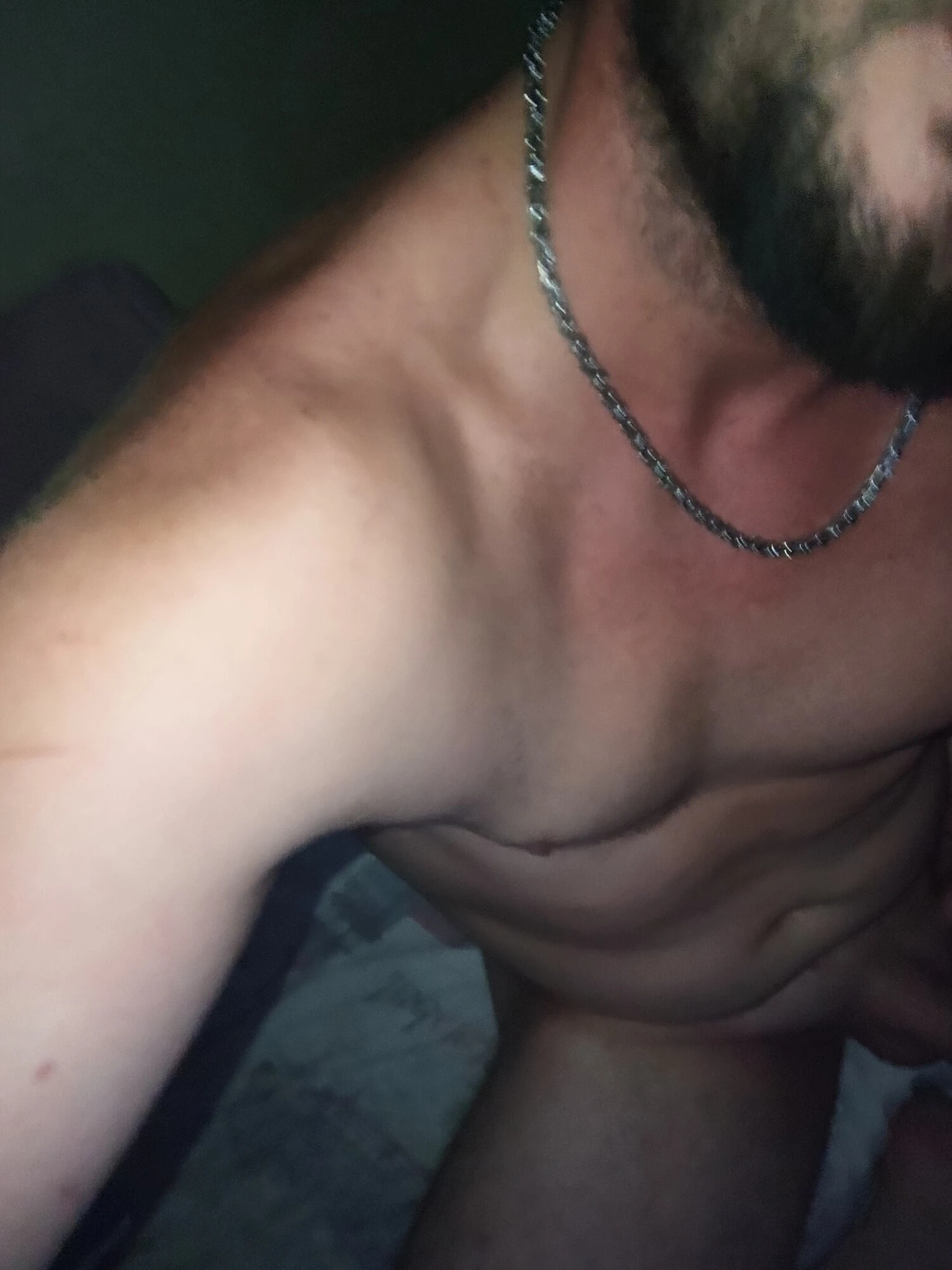 Bull body #21