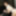 Ryu Enami :: Tame Ryu Enami - CARIBBEANCOM #5