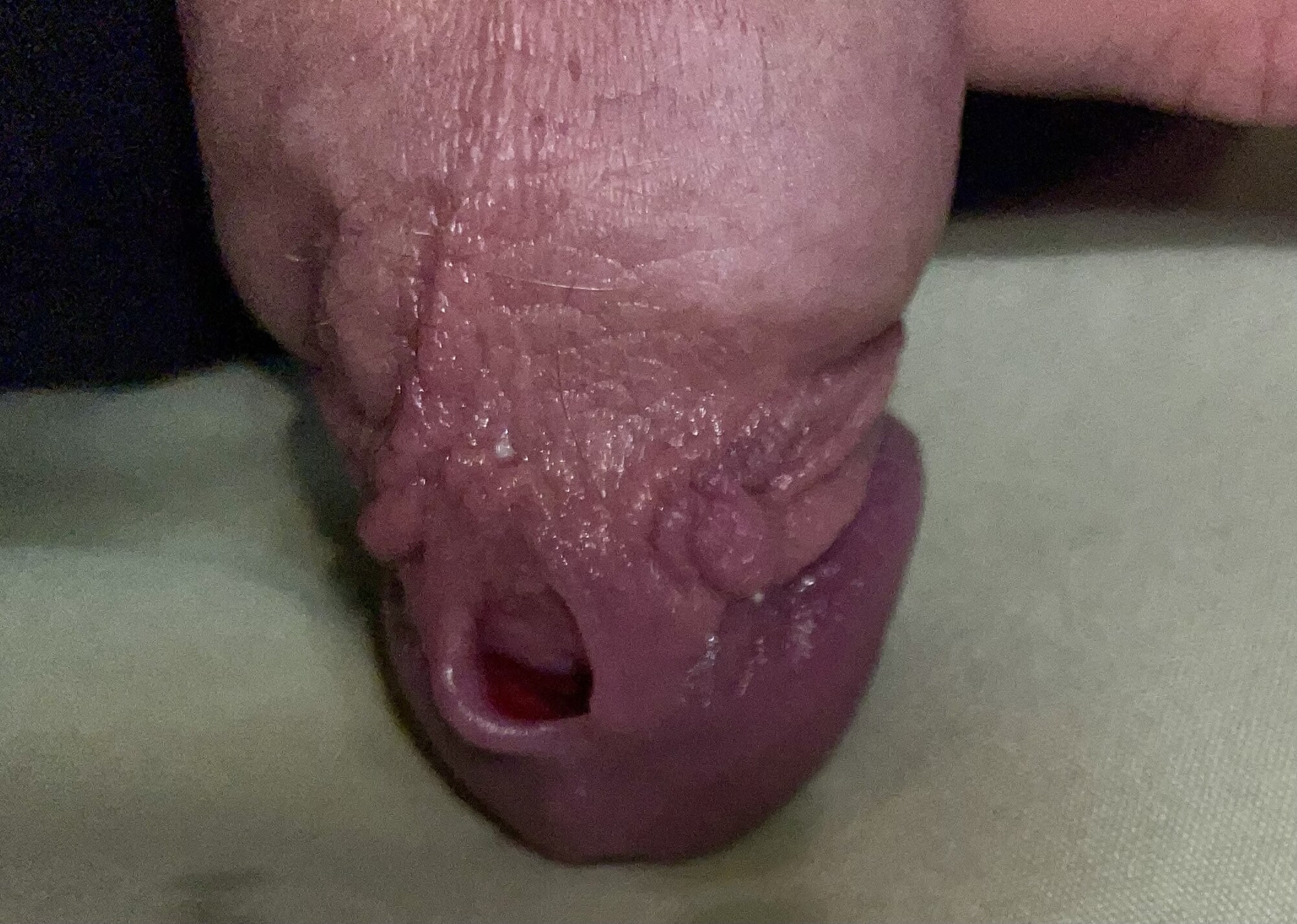 Titan PA mới