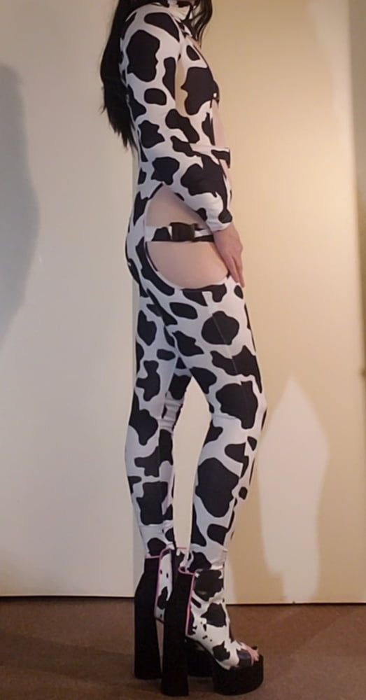 Cow Slut in Her Spots #23