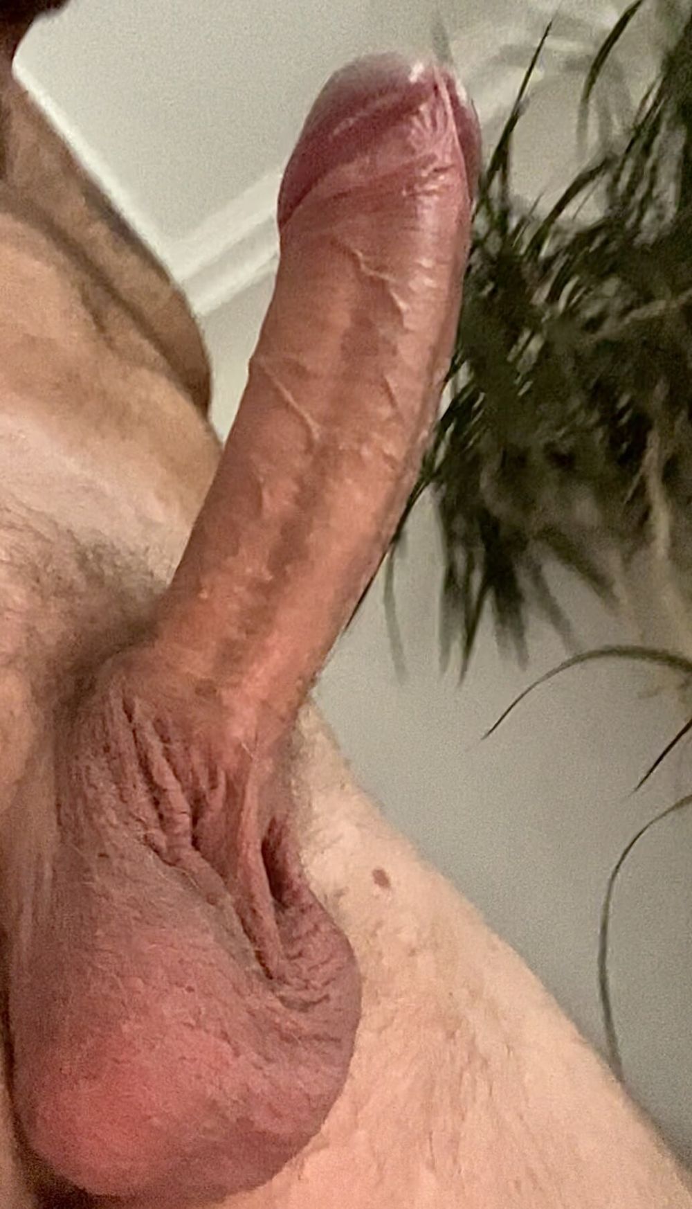 Big hot cock meat  #4