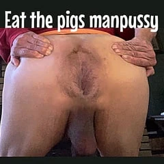 Piggy