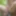 Slutboy in the woods with a toy #3