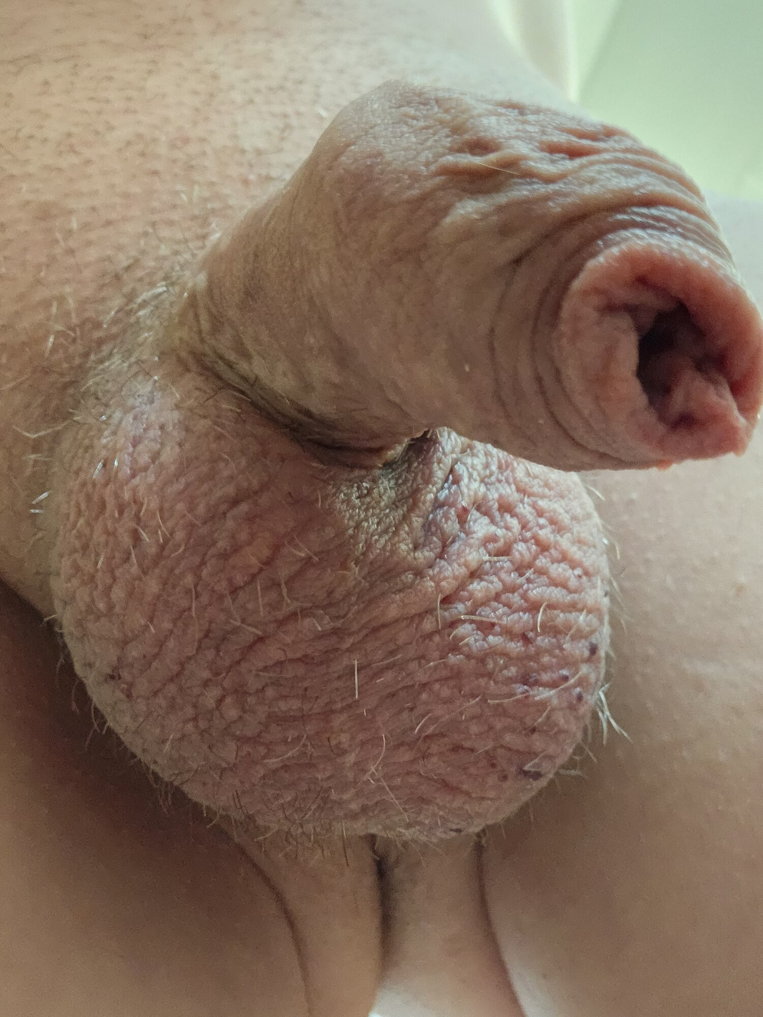Penis 😍 #23